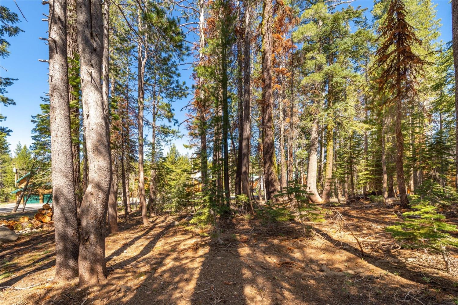 Yuba Drive, Soda Springs, California image 3