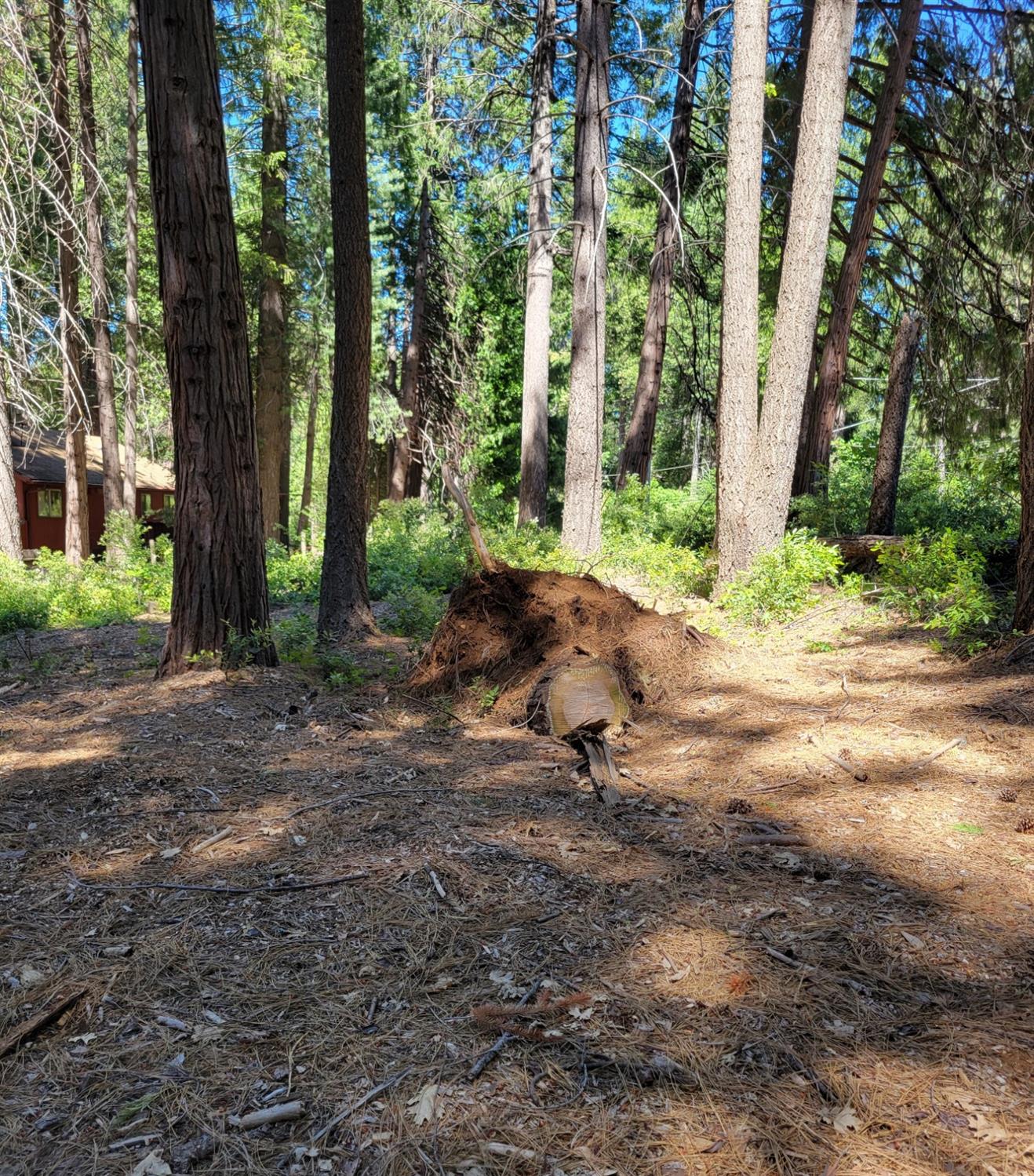 Detail Gallery Image 13 of 13 For 16779 Pasquale Rd, Nevada City,  CA 95959 - – Beds | – Baths