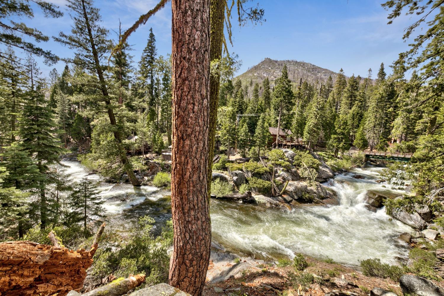 Sciots Trail, Strawberry, California image 4