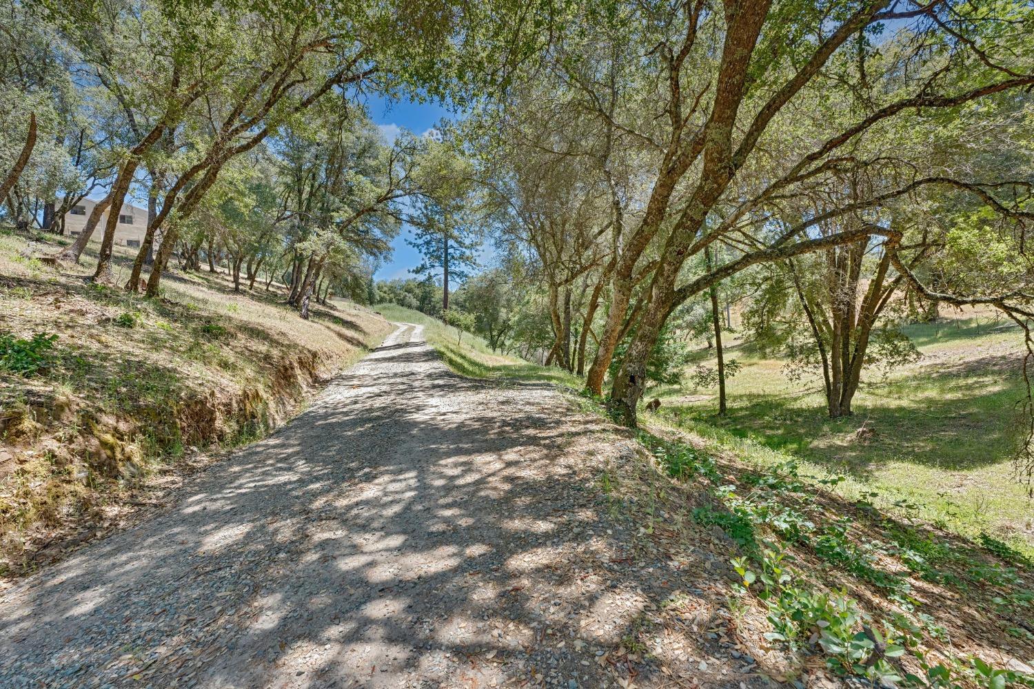 Detail Gallery Image 2 of 48 For 2091 Kinsley Ct, El Dorado,  CA 95623 - 4 Beds | 2 Baths