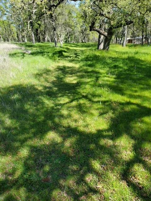 White Oak Lane, Browns Valley, California image 1