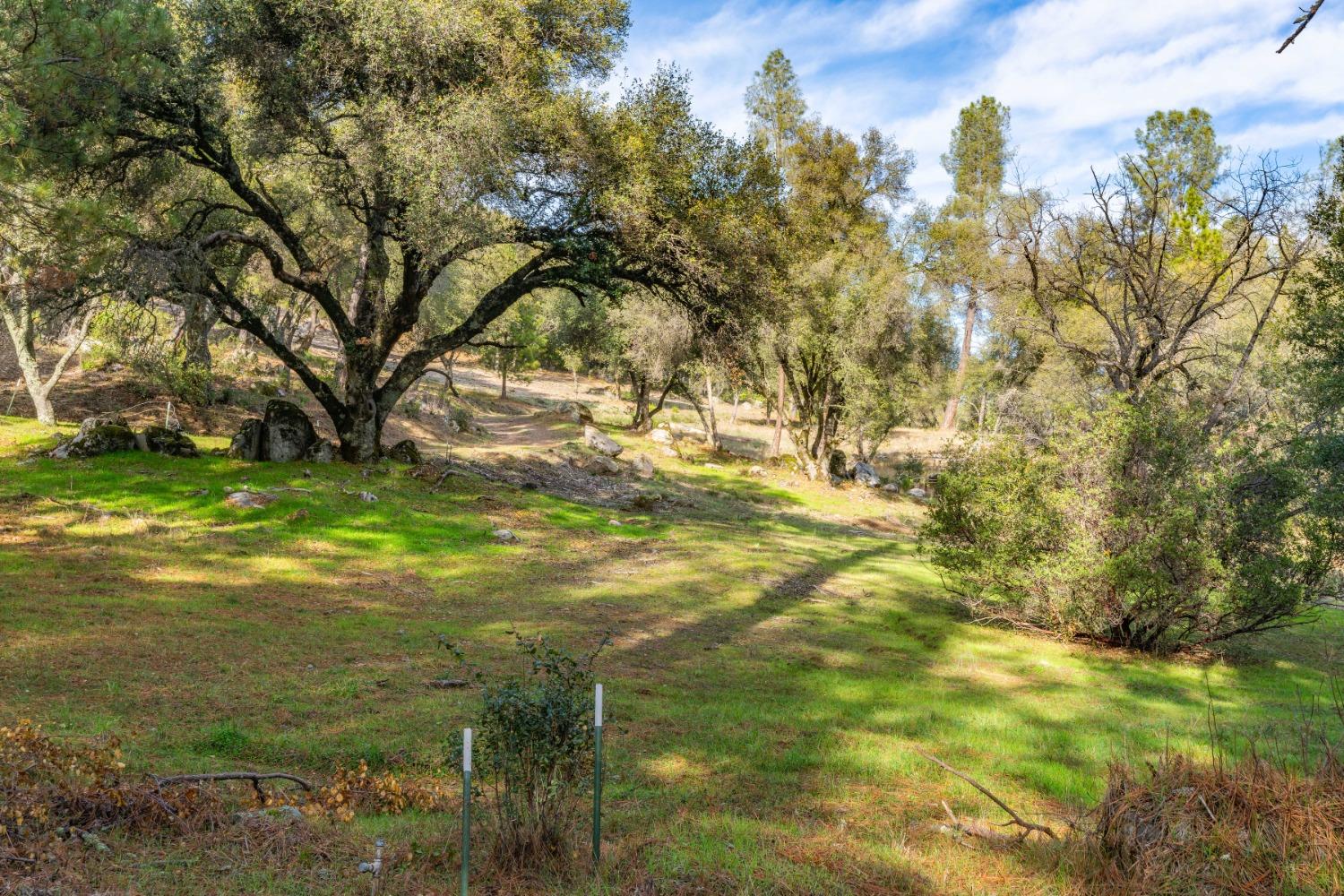 Emigrant Trail, River Pines, California image 7