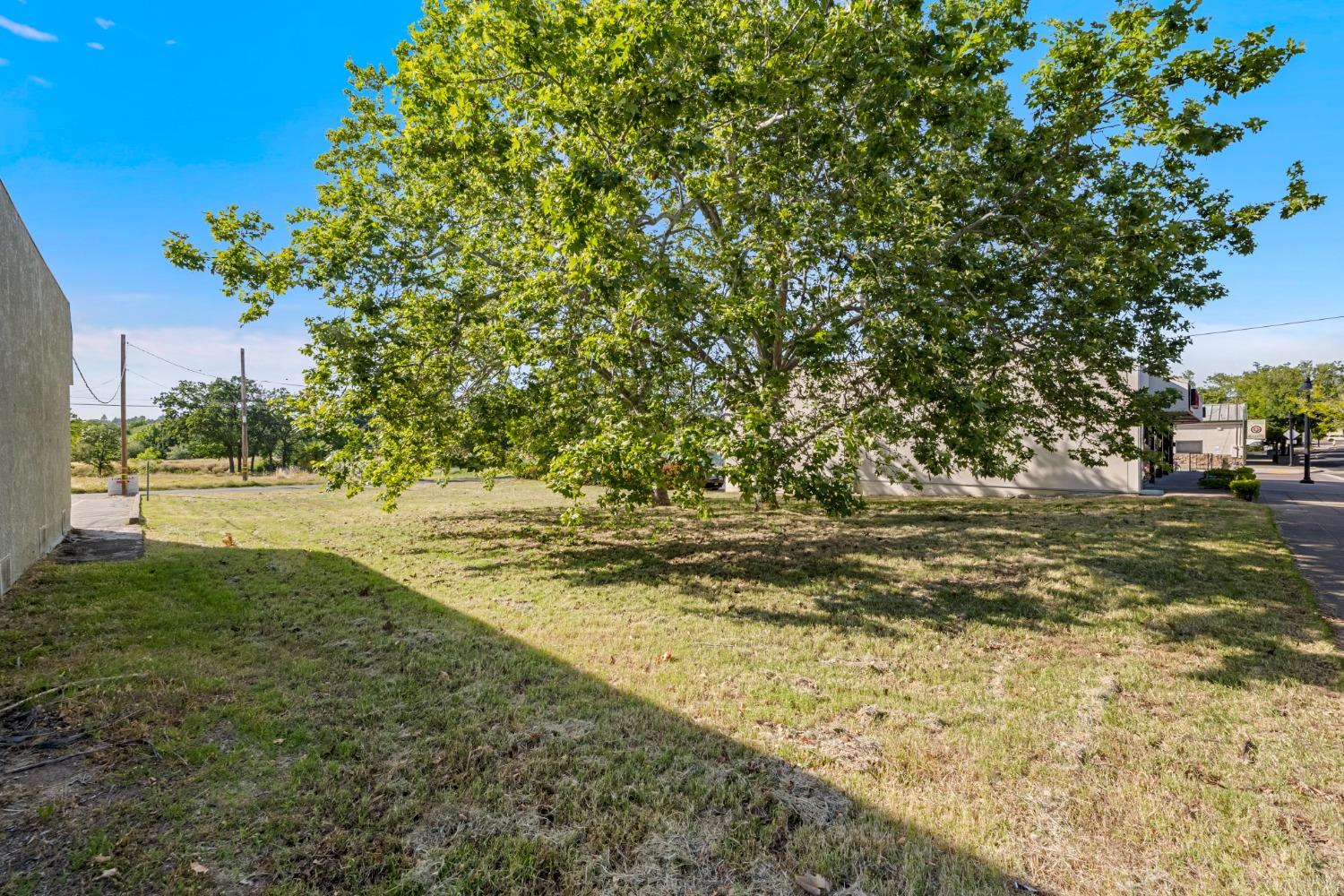 Pacific Street, Rocklin, California image 7