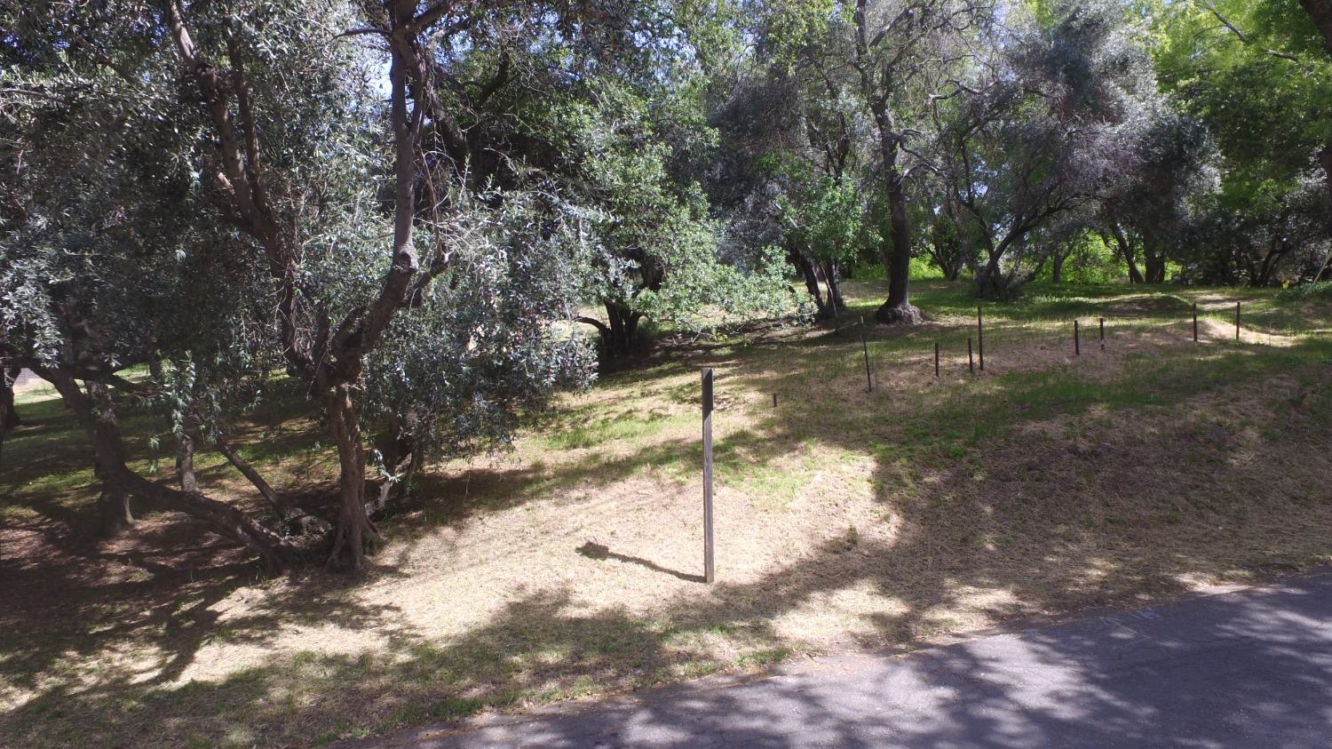 Magnolia Avenue, Fair Oaks, California image 14