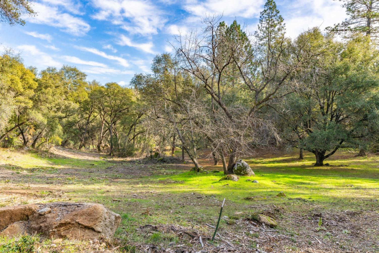 Emigrant Trail, River Pines, California image 5