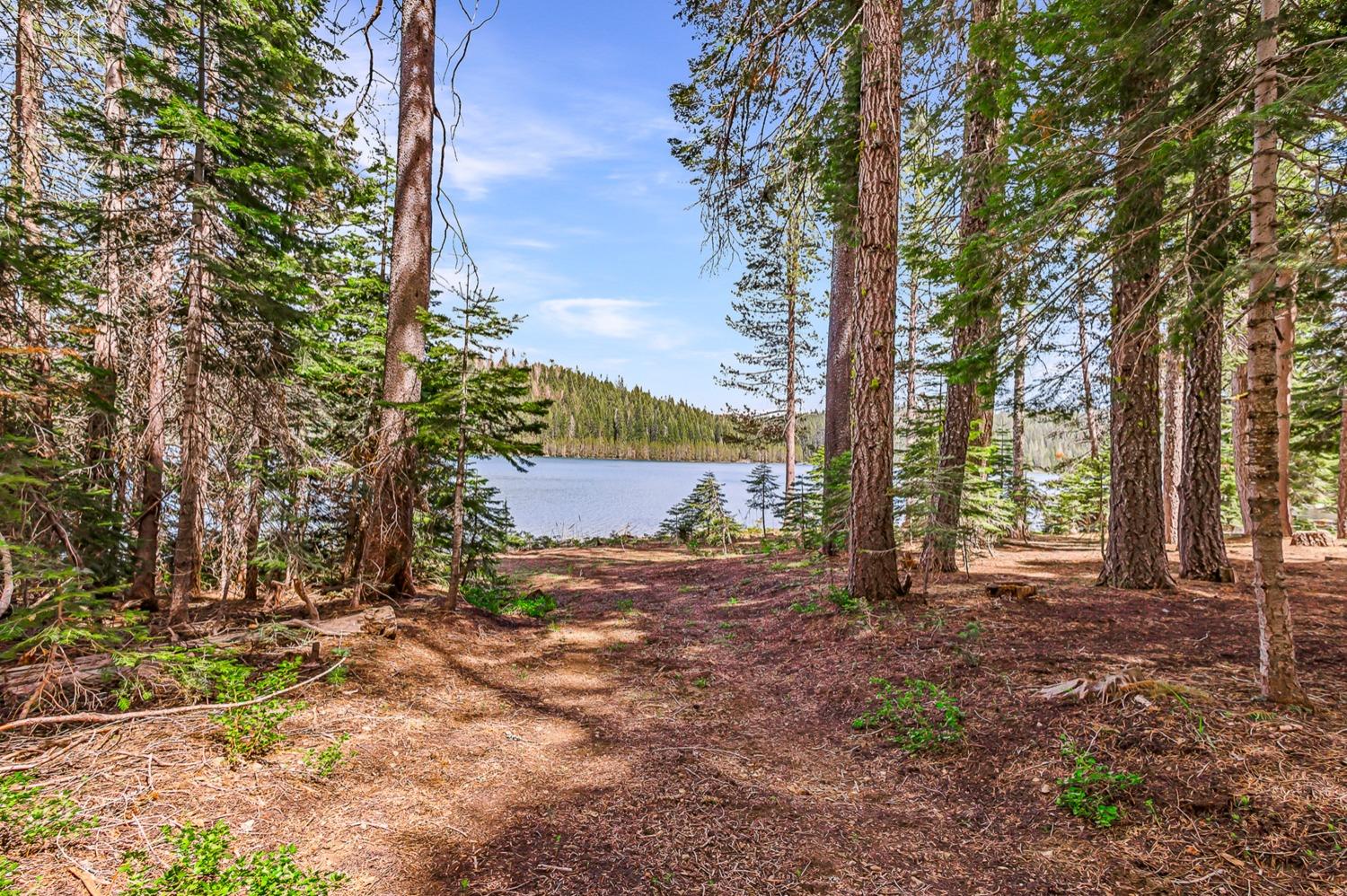 Lakeview Drive, Strawberry Valley, California image 2