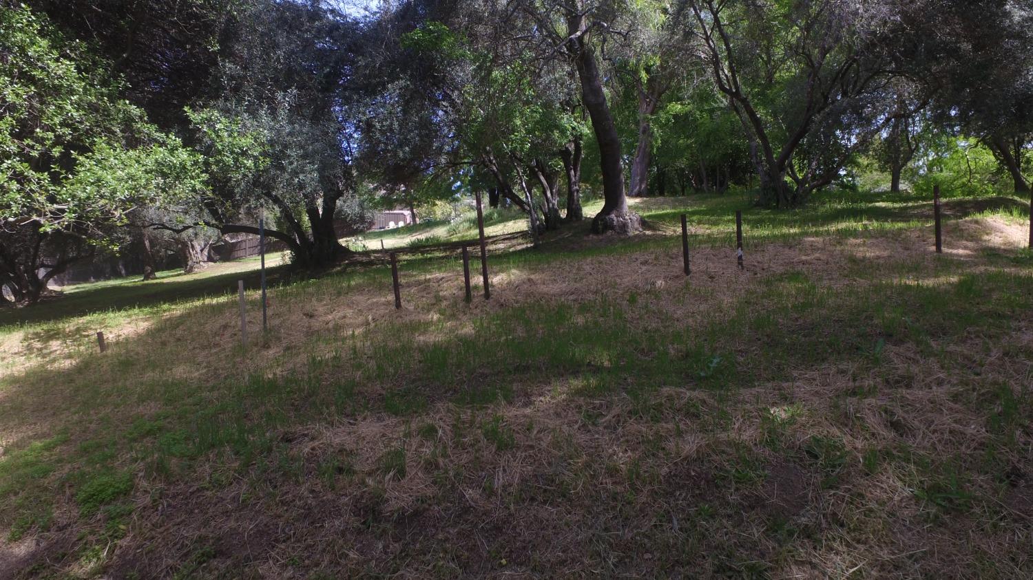 Magnolia Avenue, Fair Oaks, California image 15