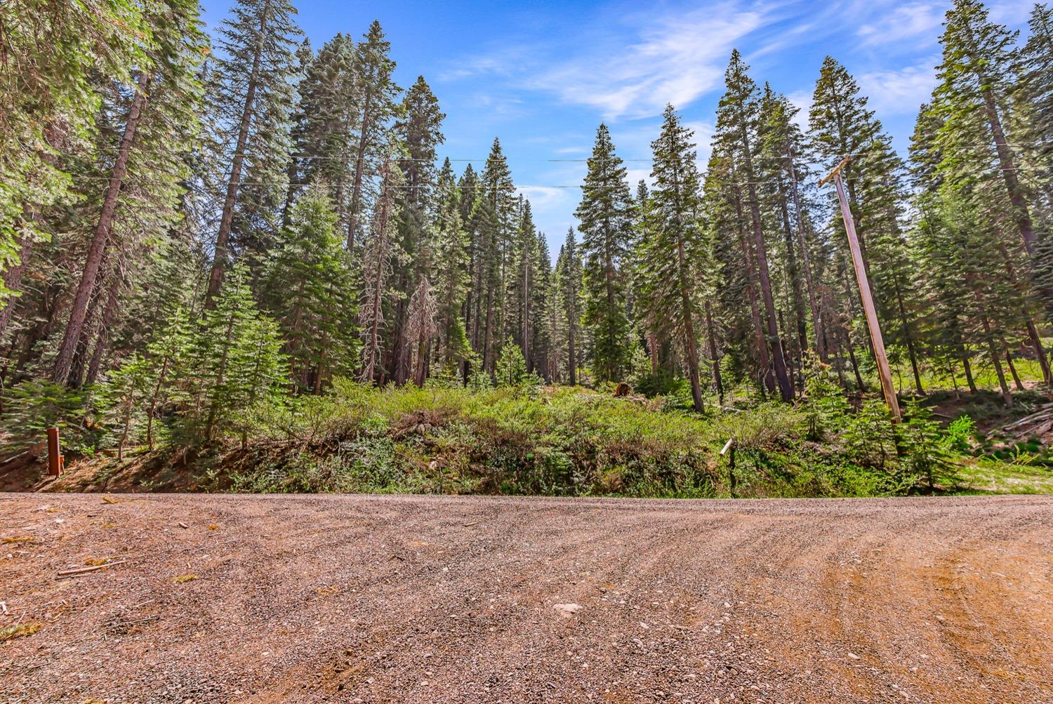 Lakeview Drive, Strawberry Valley, California image 18