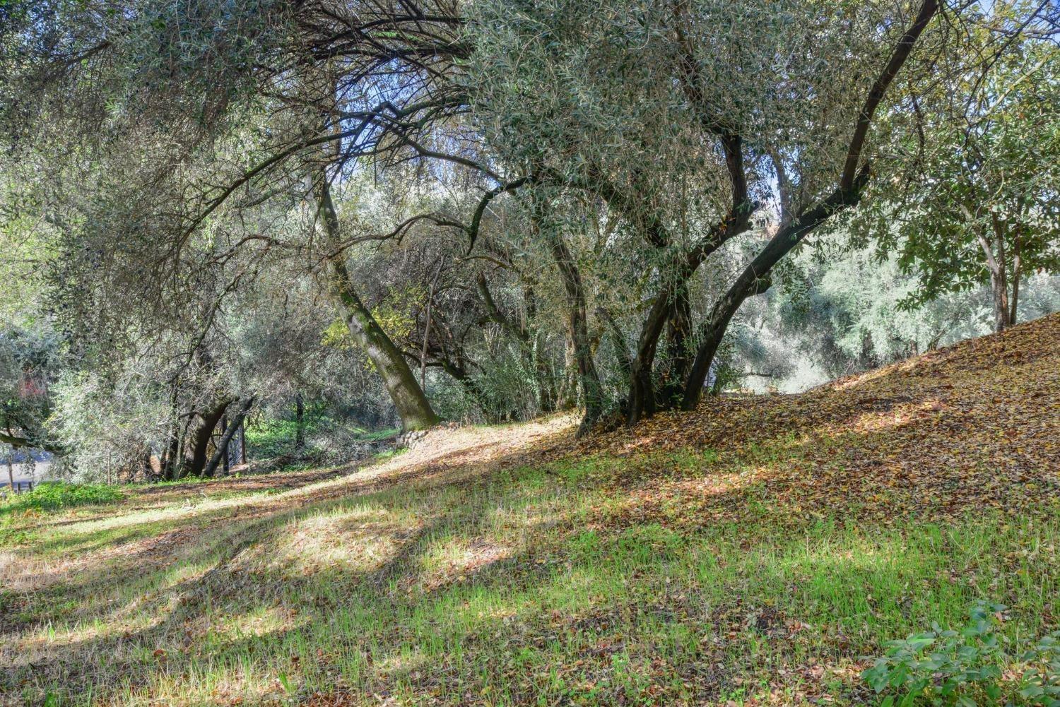 Pennsylvania Avenue, Fair Oaks, California image 6