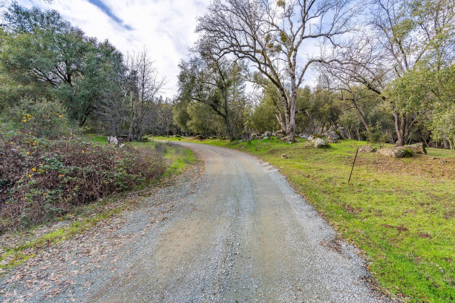 Emigrant Trail, River Pines, California image 4