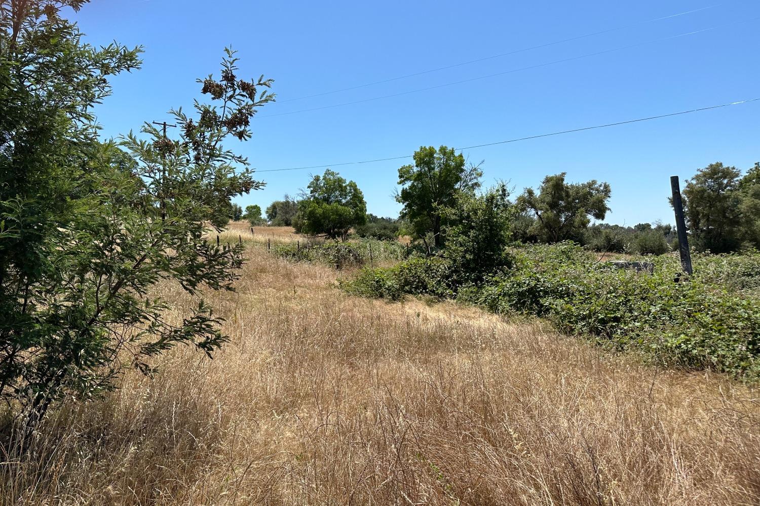 La Porte Road, Bangor, California image 3