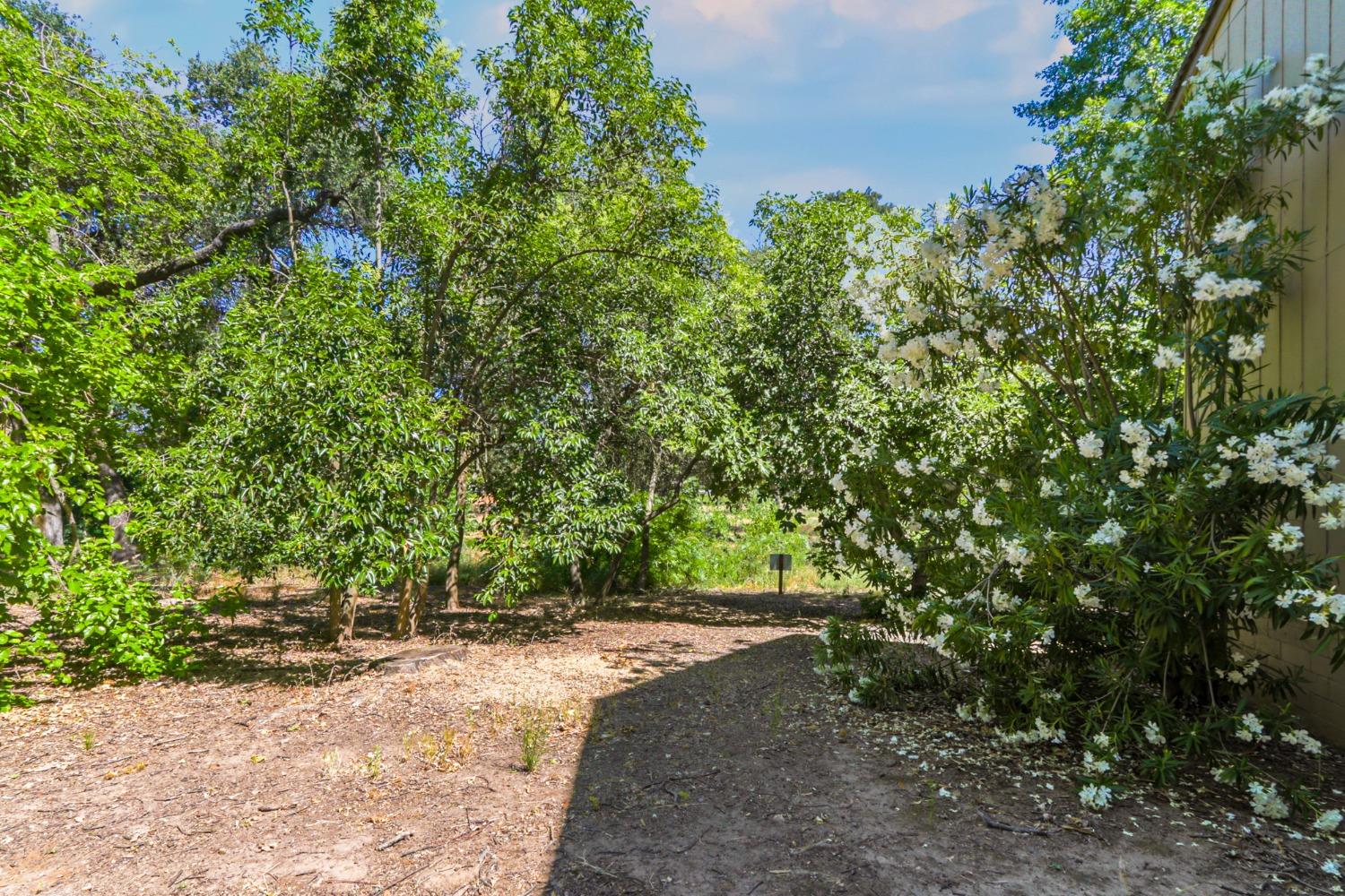 Detail Gallery Image 50 of 59 For 6919 Vera Cruz Ct, Citrus Heights,  CA 95621 - 4 Beds | 2/1 Baths