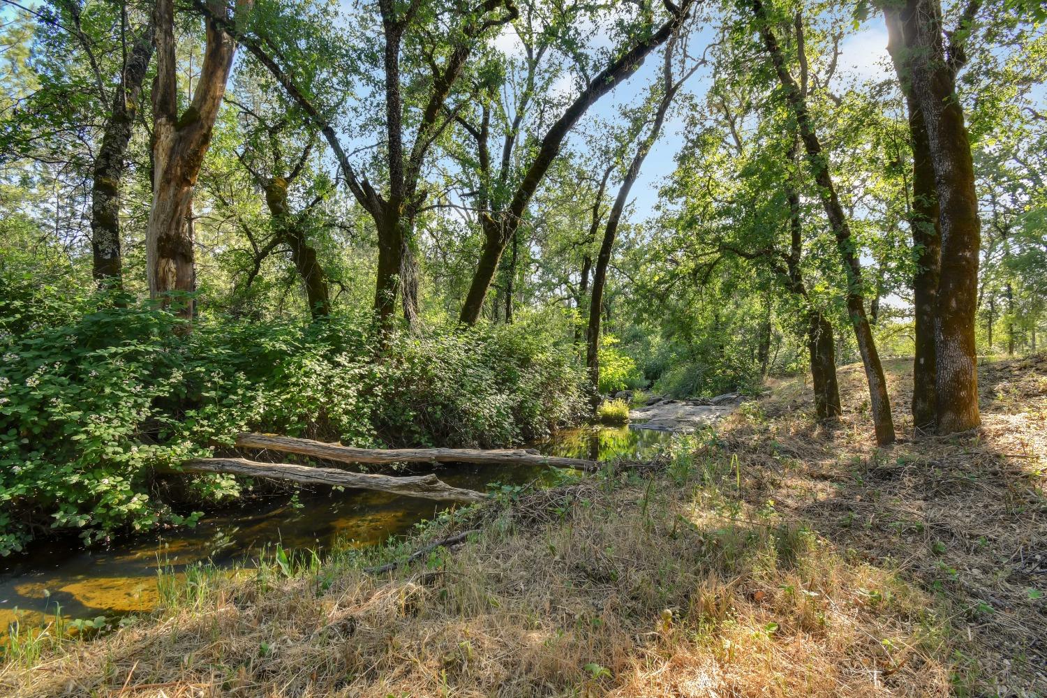 Yuba Ranch Way, Oregon House, California image 5