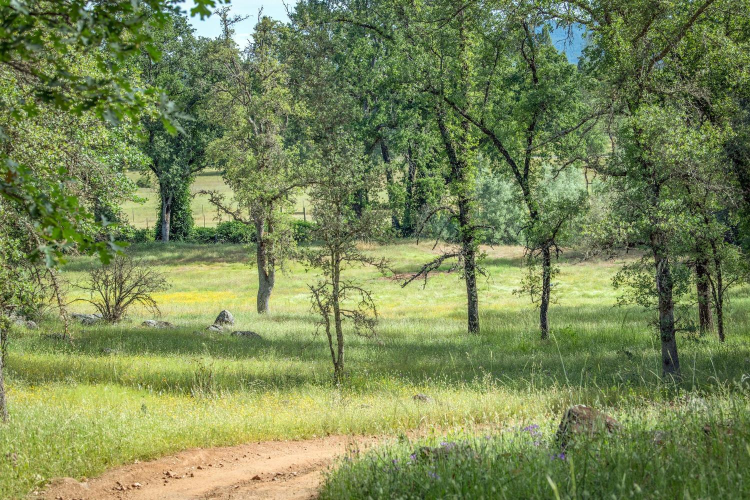 Detail Gallery Image 51 of 92 For 13418 Rices Crossing Rd, Oregon House,  CA 95962 - 3 Beds | 2 Baths