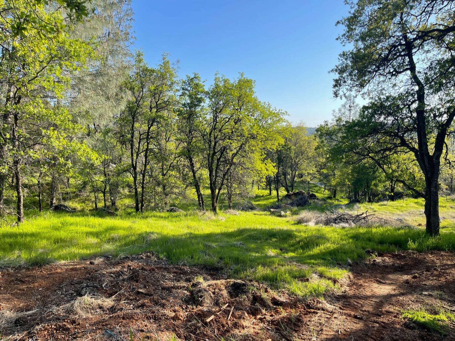 Detail Gallery Image 15 of 22 For 16434 Mackinaw Way, Grass Valley,  CA 95949 - – Beds | – Baths