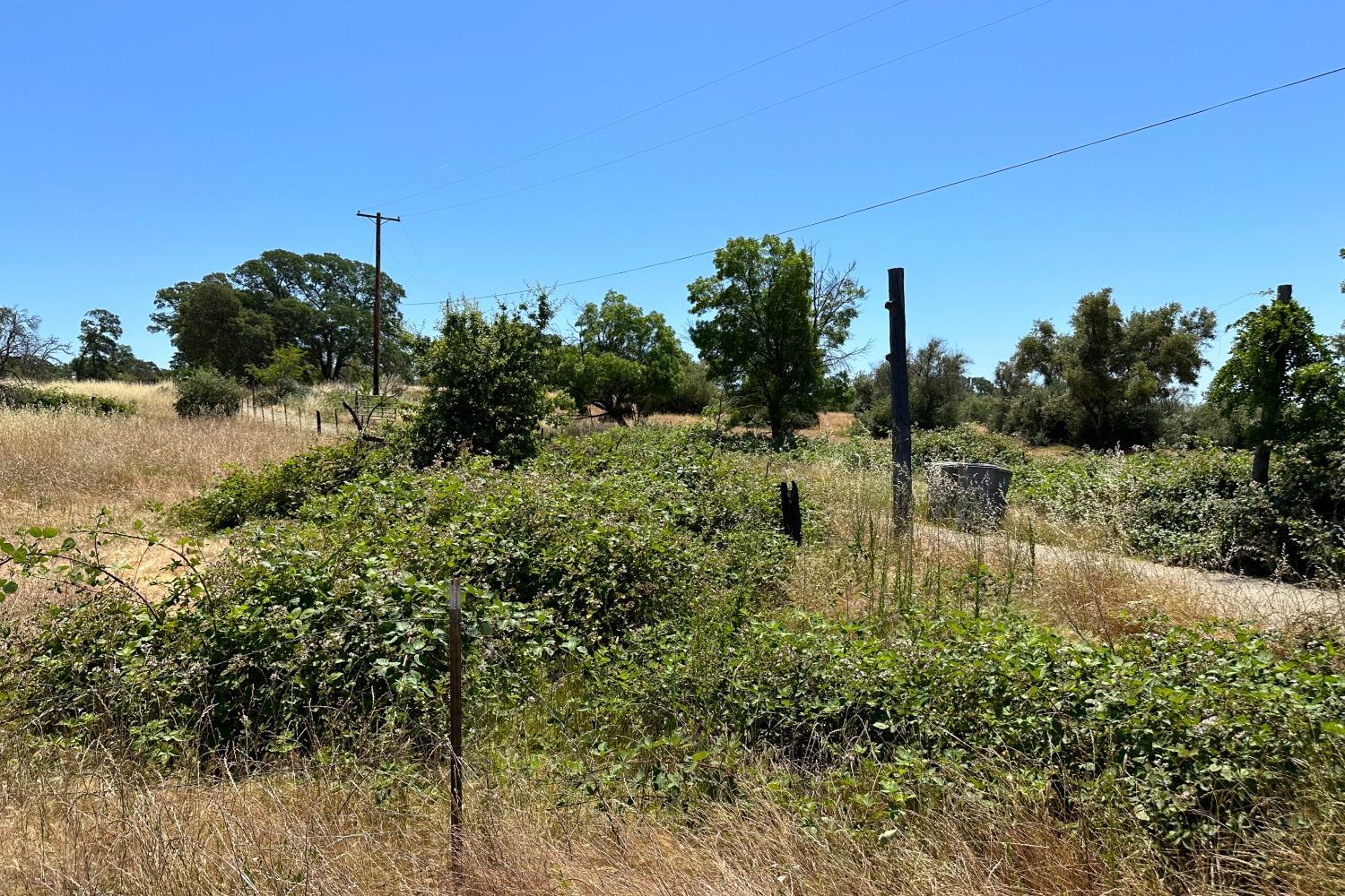 La Porte Road, Bangor, California image 1