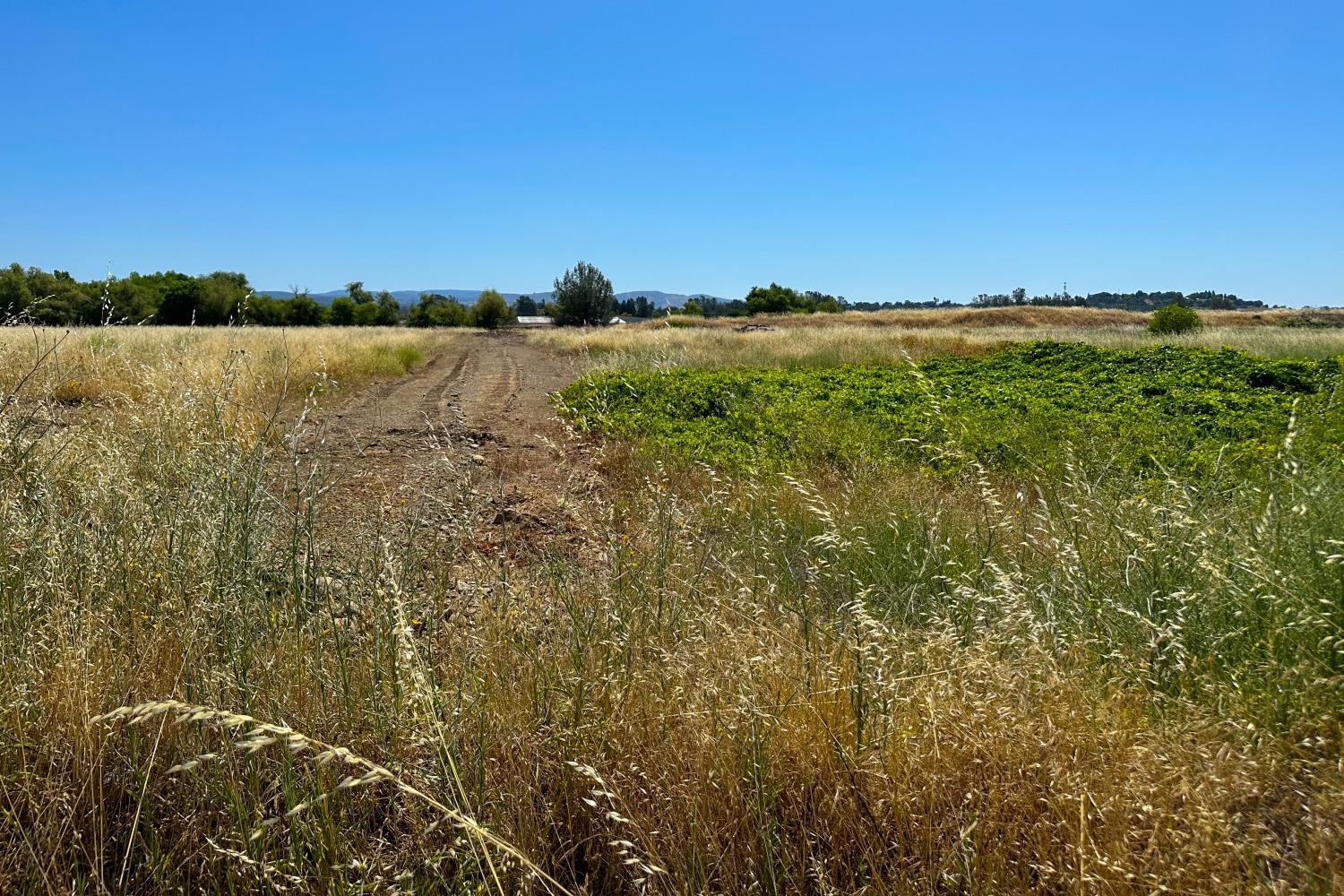 Detail Gallery Image 7 of 10 For 2788 S 7th Ave, Oroville,  CA 95759 - – Beds | – Baths