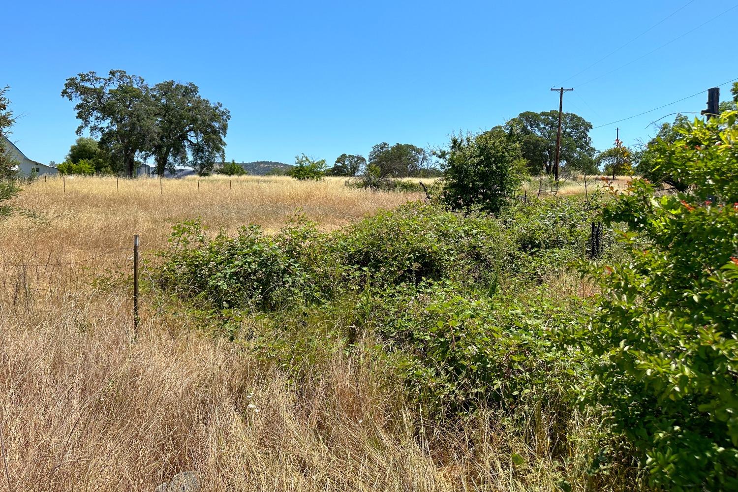 La Porte Road, Bangor, California image 17