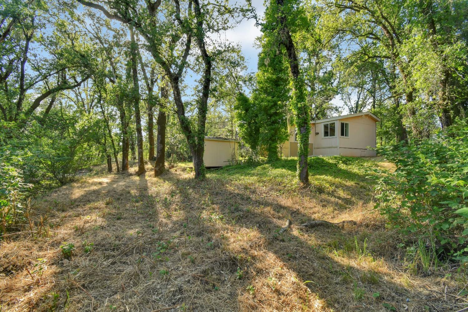 Yuba Ranch Way, Oregon House, California image 37