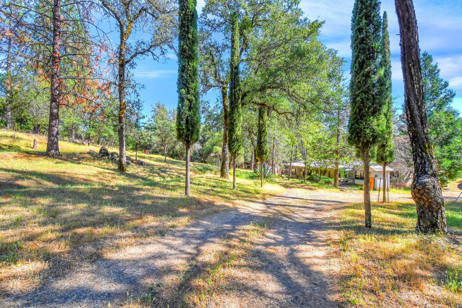 Charlies Lane, Dobbins, California image 1