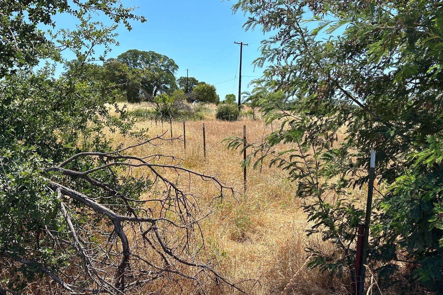 La Porte Road, Bangor, California image 18