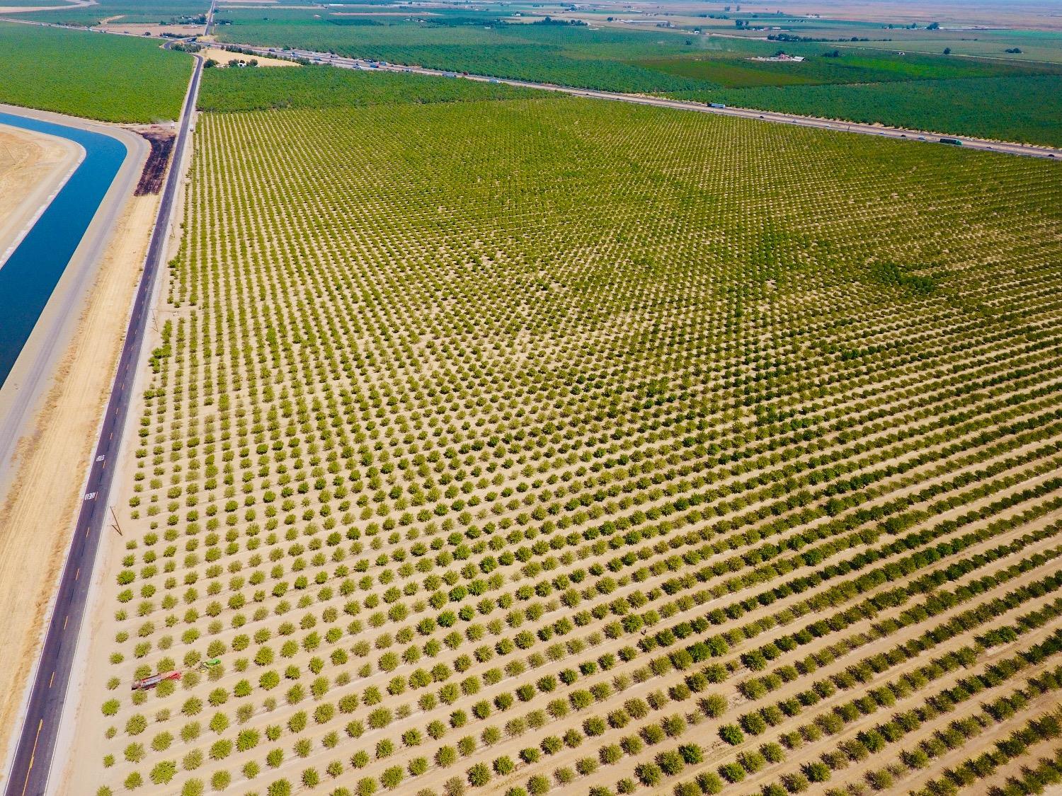 Whitworth Road, Gustine, California image 2