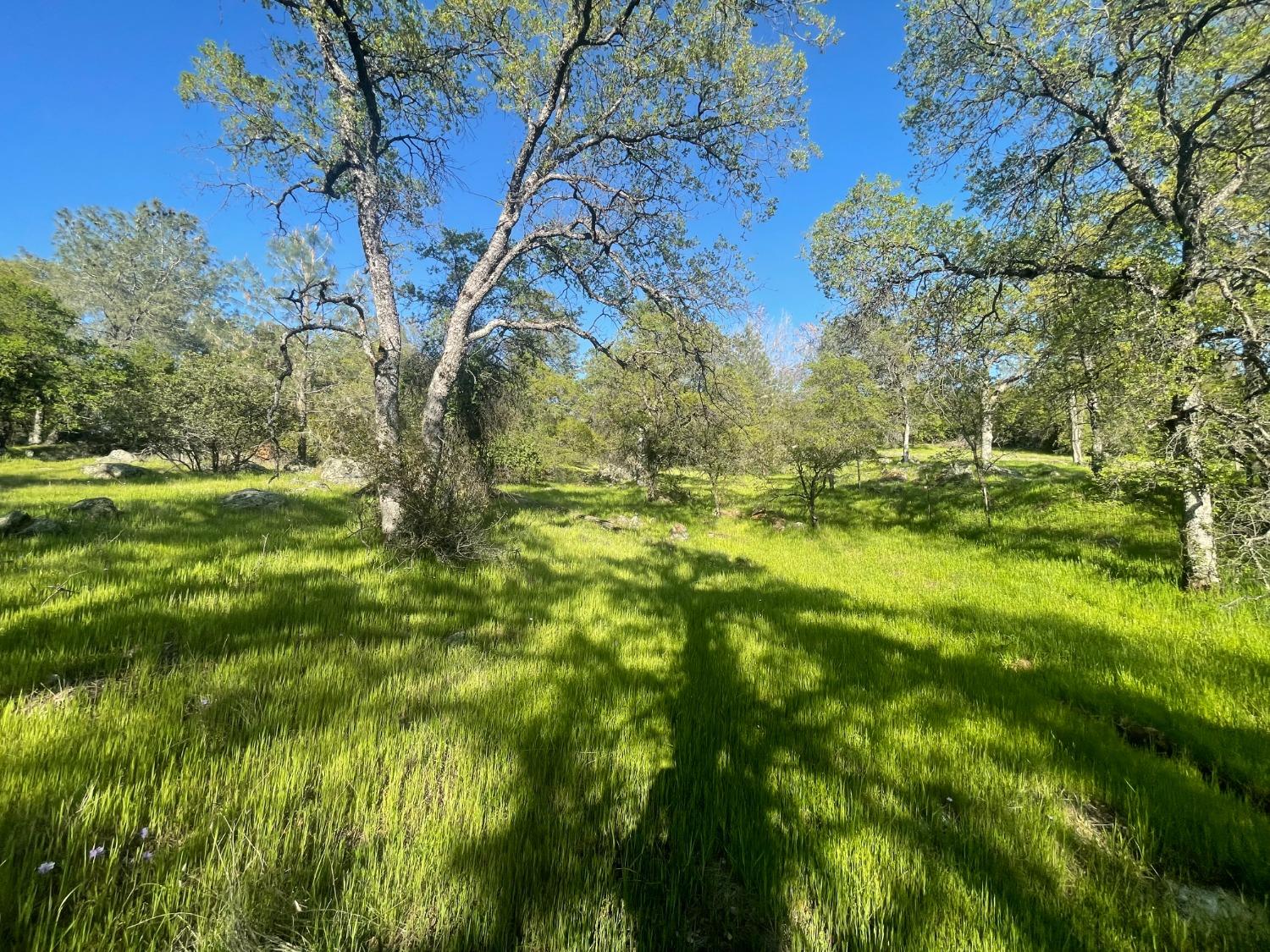 Detail Gallery Image 21 of 22 For 16434 Mackinaw Way, Grass Valley,  CA 95949 - – Beds | – Baths