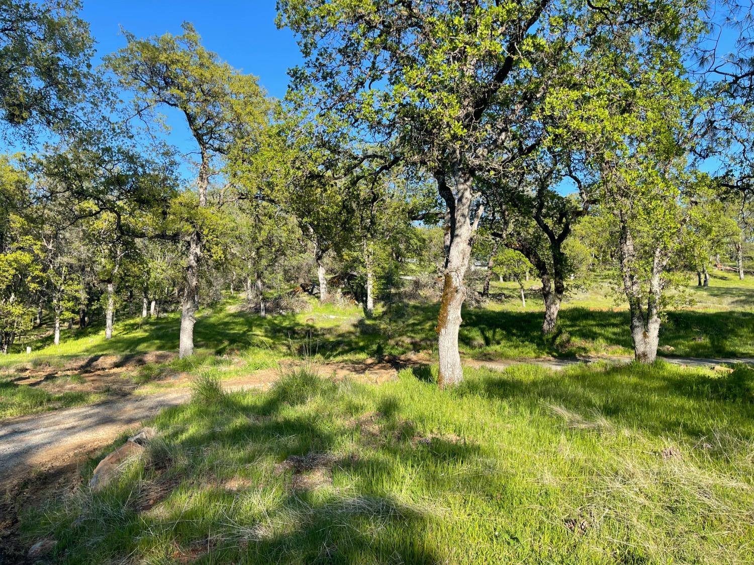 Detail Gallery Image 12 of 22 For 16434 Mackinaw Way, Grass Valley,  CA 95949 - – Beds | – Baths