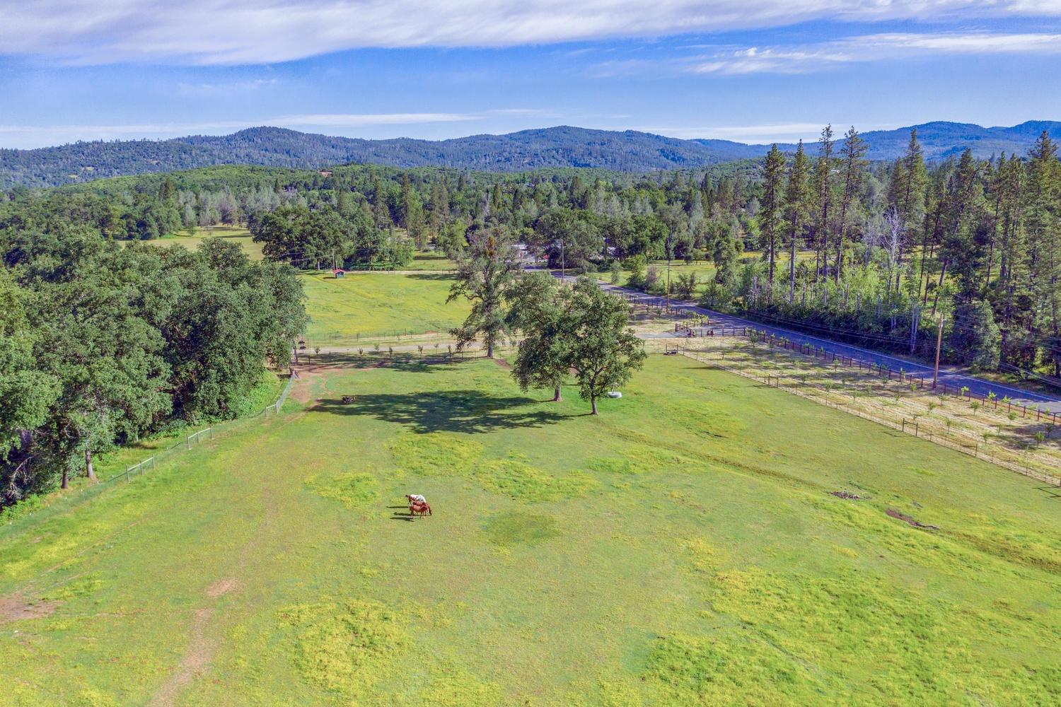 Detail Gallery Image 8 of 92 For 13418 Rices Crossing Rd, Oregon House,  CA 95962 - 3 Beds | 2 Baths