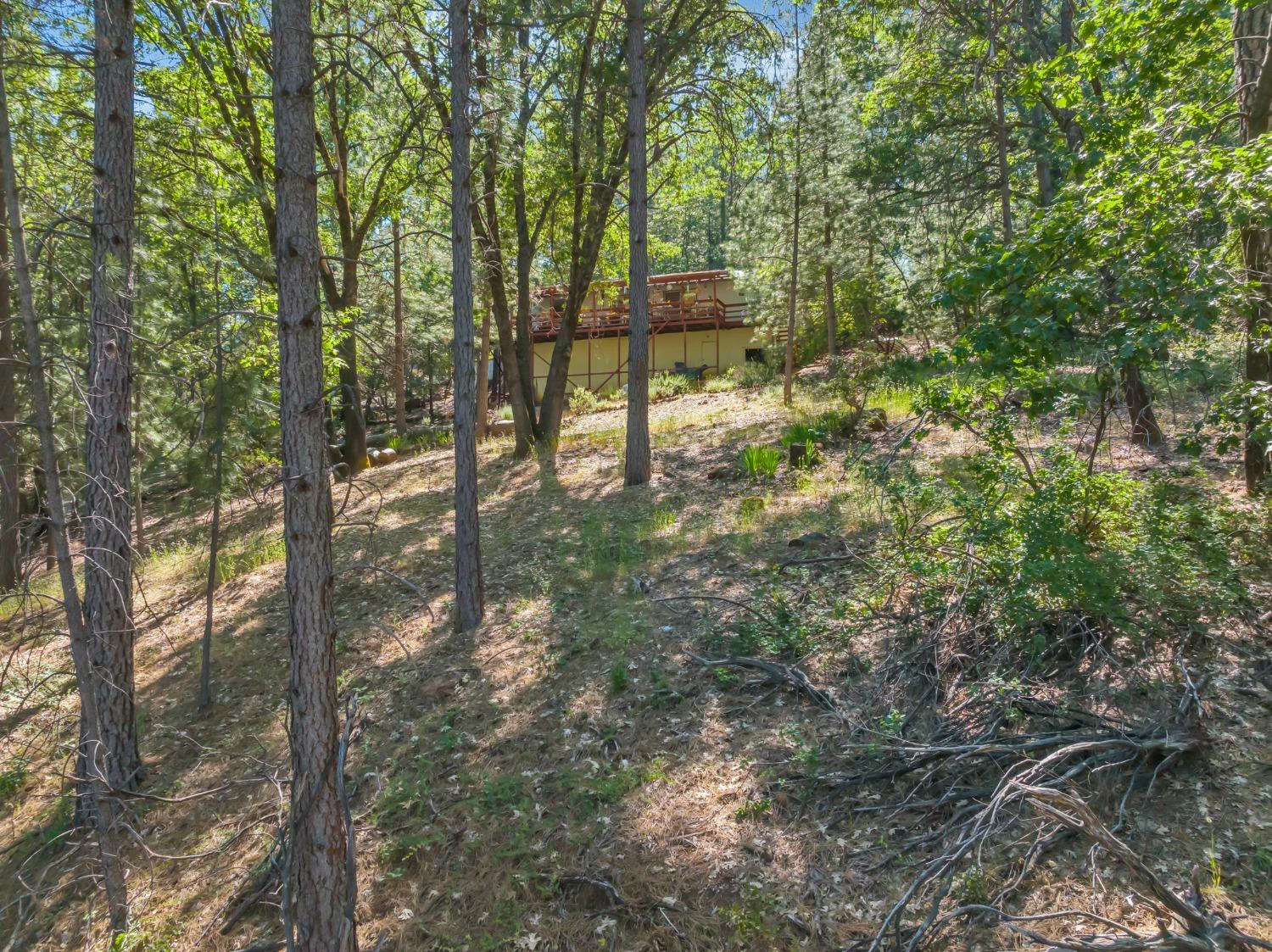 Sky Pines Road, Grass Valley, California image 44