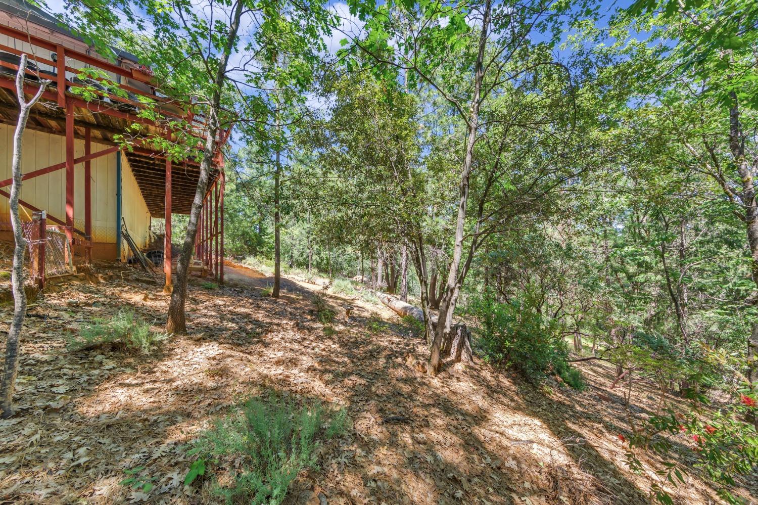 Sky Pines Road, Grass Valley, California image 43