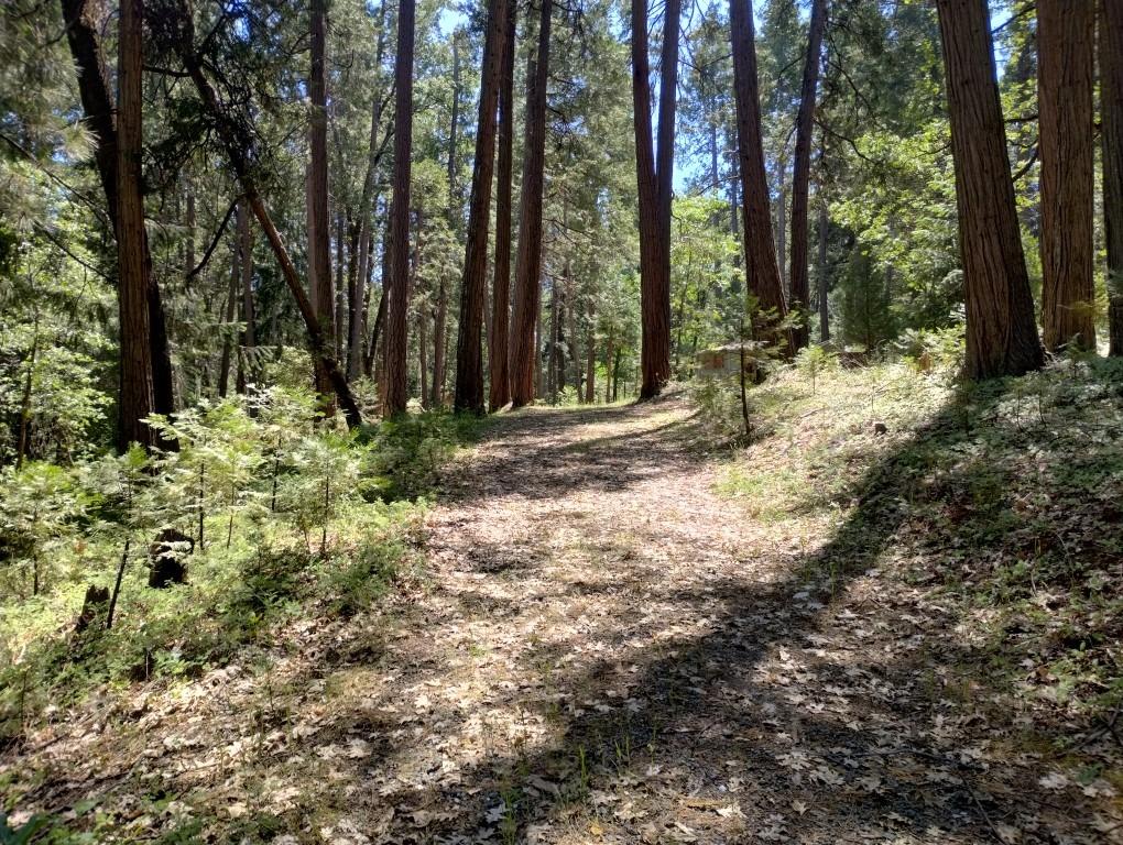 Pearson Road, Grass Valley, California image 8