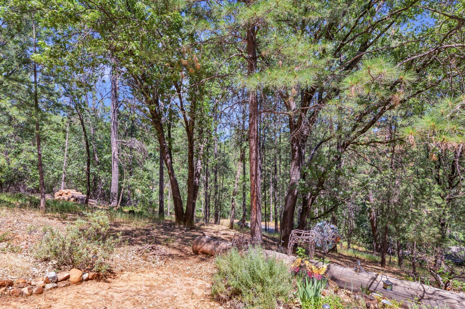 Sky Pines Road, Grass Valley, California image 42