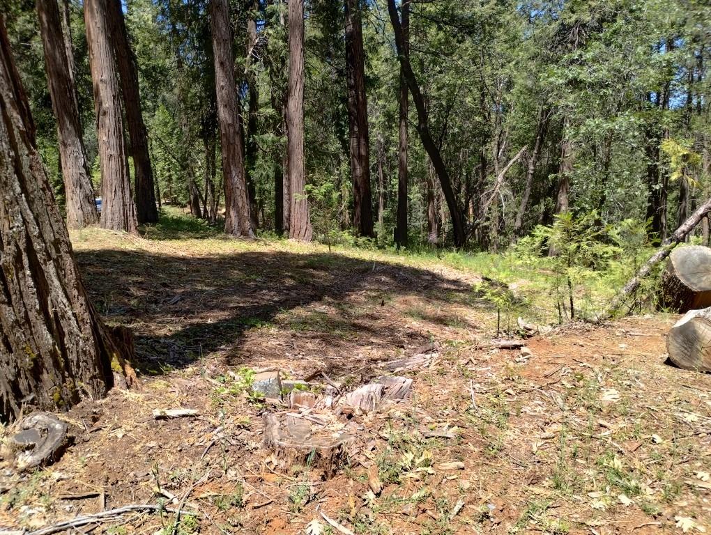 Pearson Road, Grass Valley, California image 22