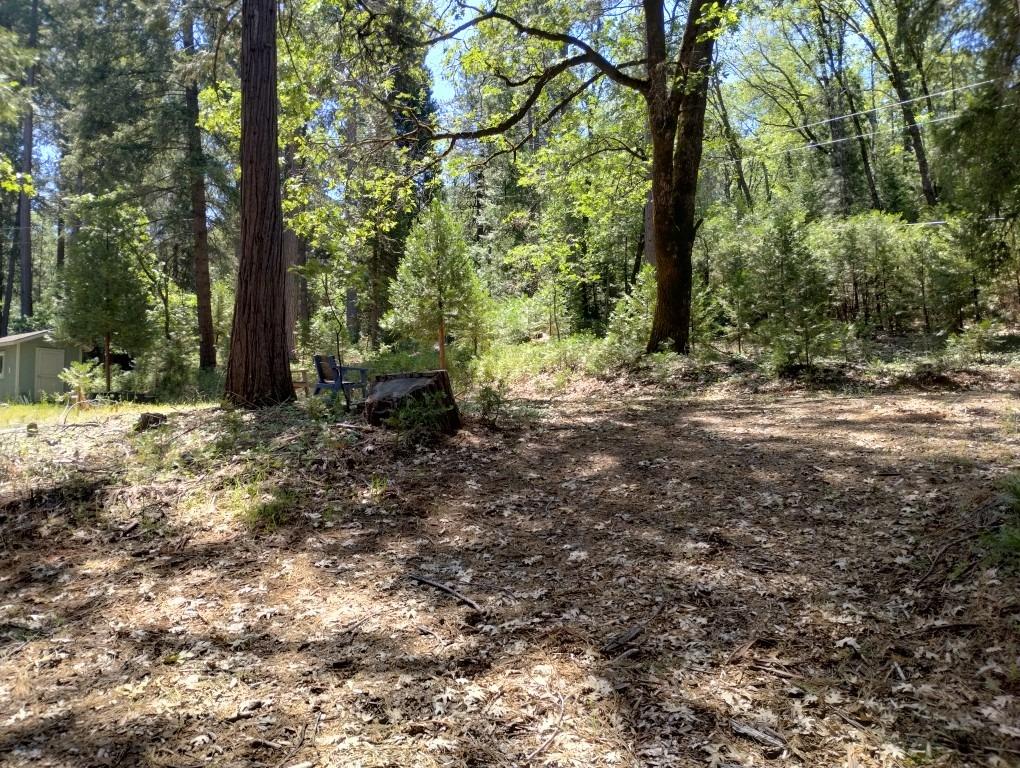 Pearson Road, Grass Valley, California image 14