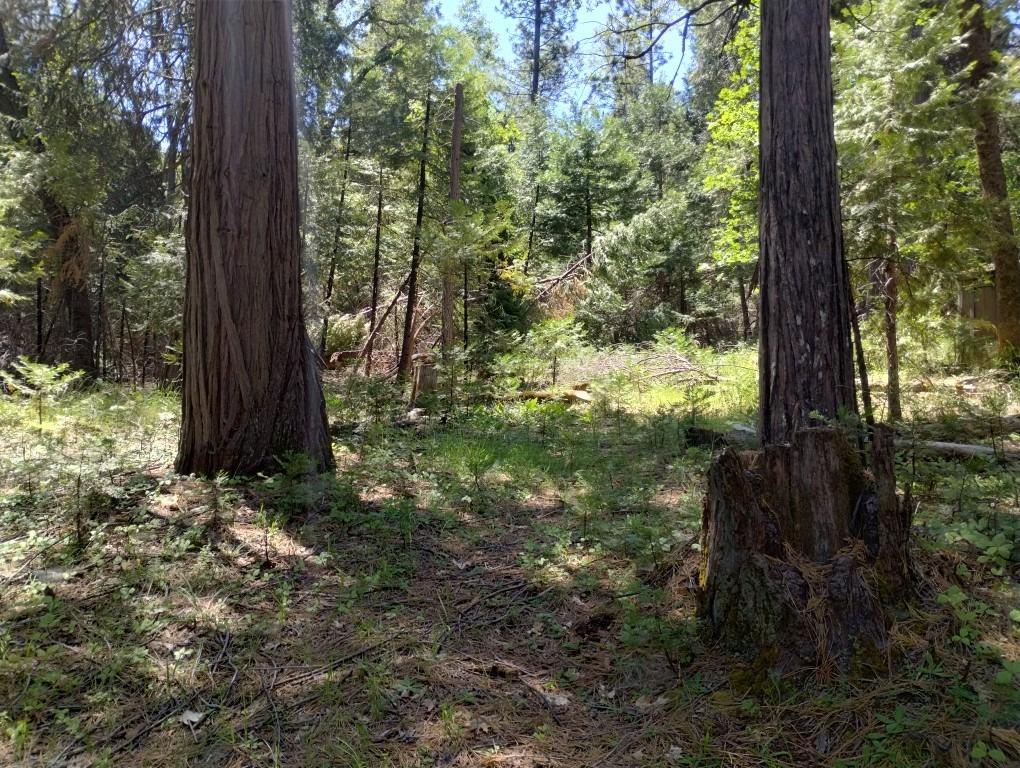 Pearson Road, Grass Valley, California image 19