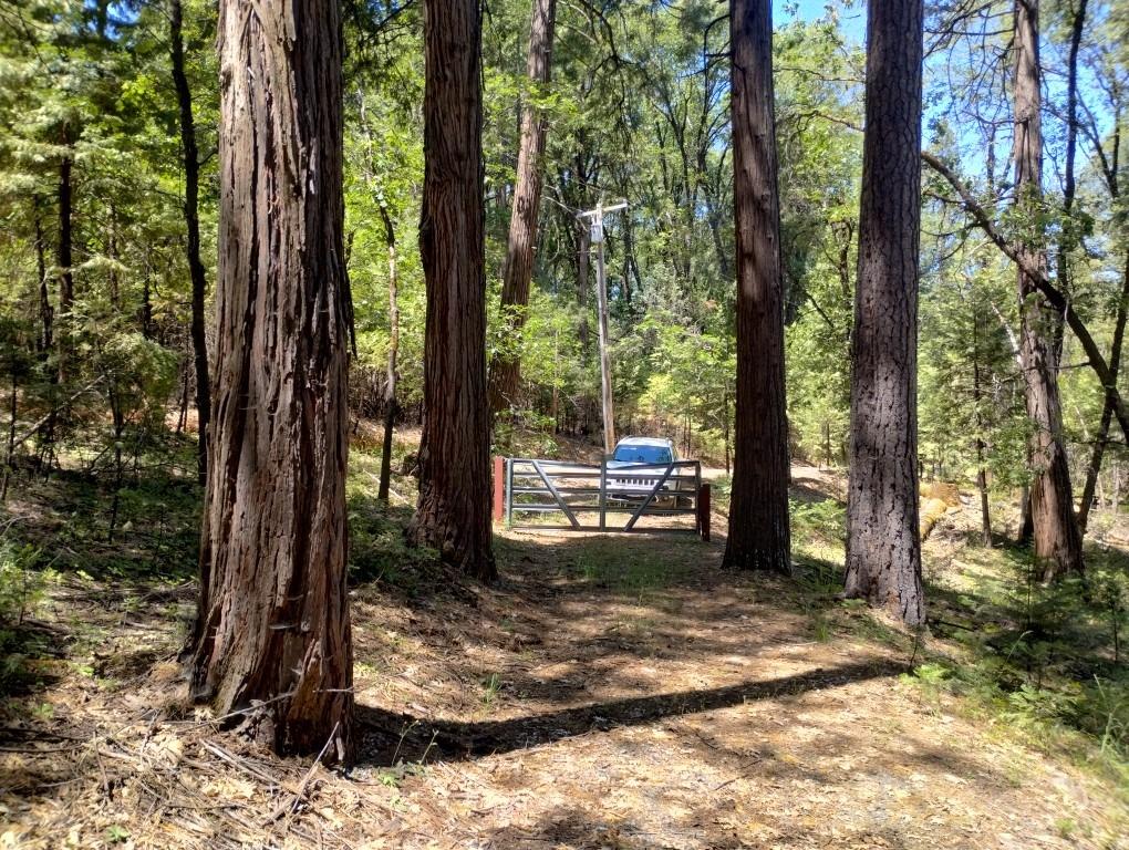 Pearson Road, Grass Valley, California image 23