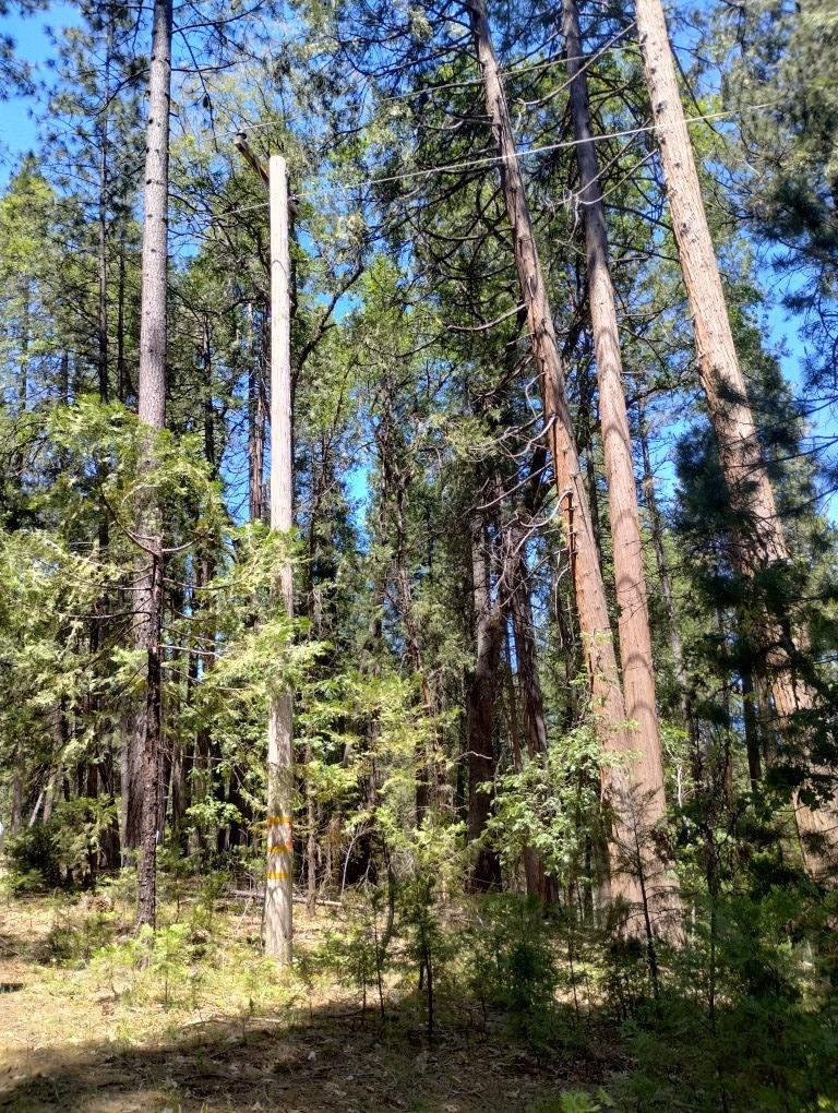 Pearson Road, Grass Valley, California image 20