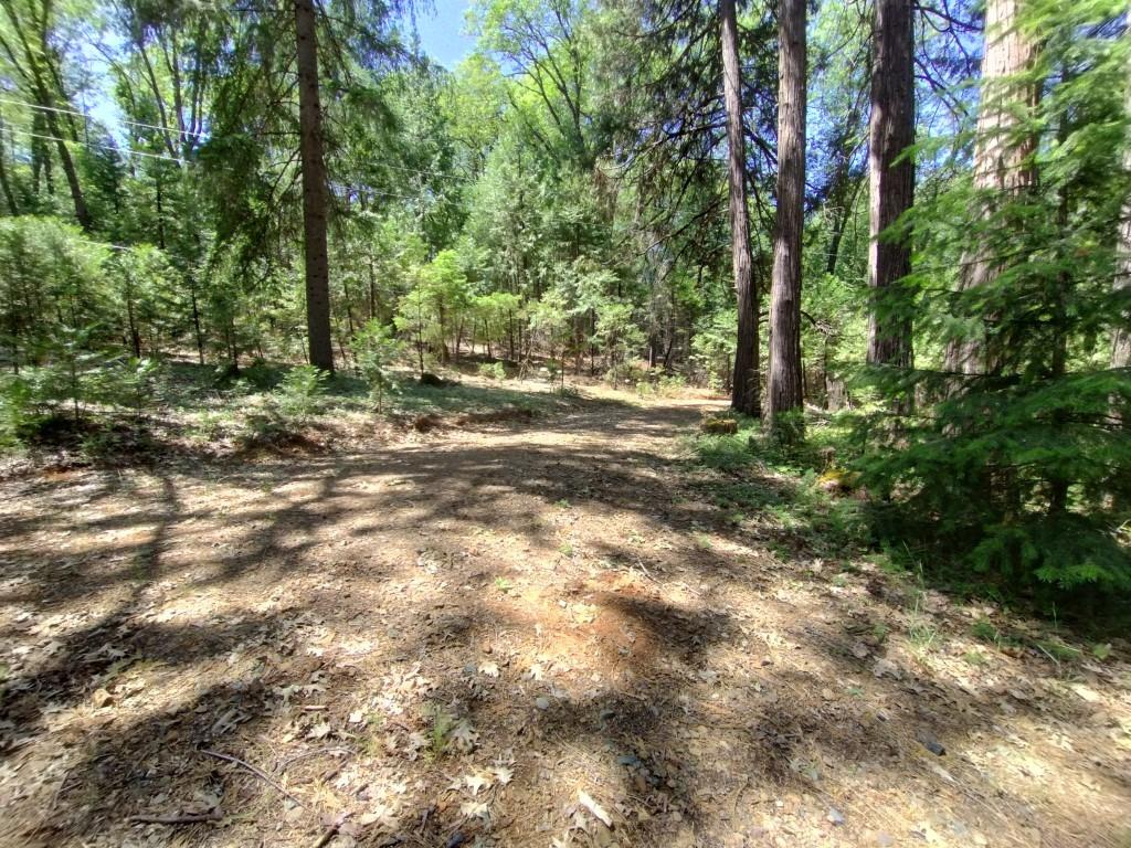 Pearson Road, Grass Valley, California image 15