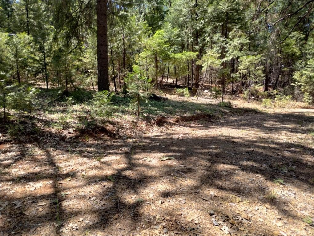 Pearson Road, Grass Valley, California image 16