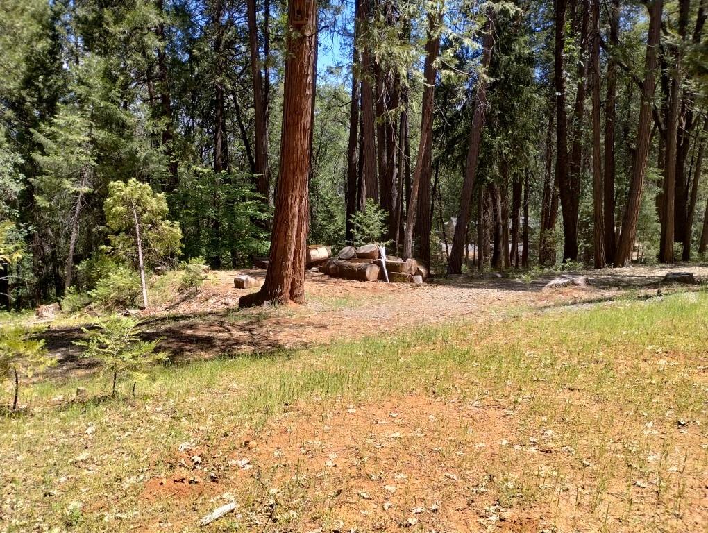 Pearson Road, Grass Valley, California image 17