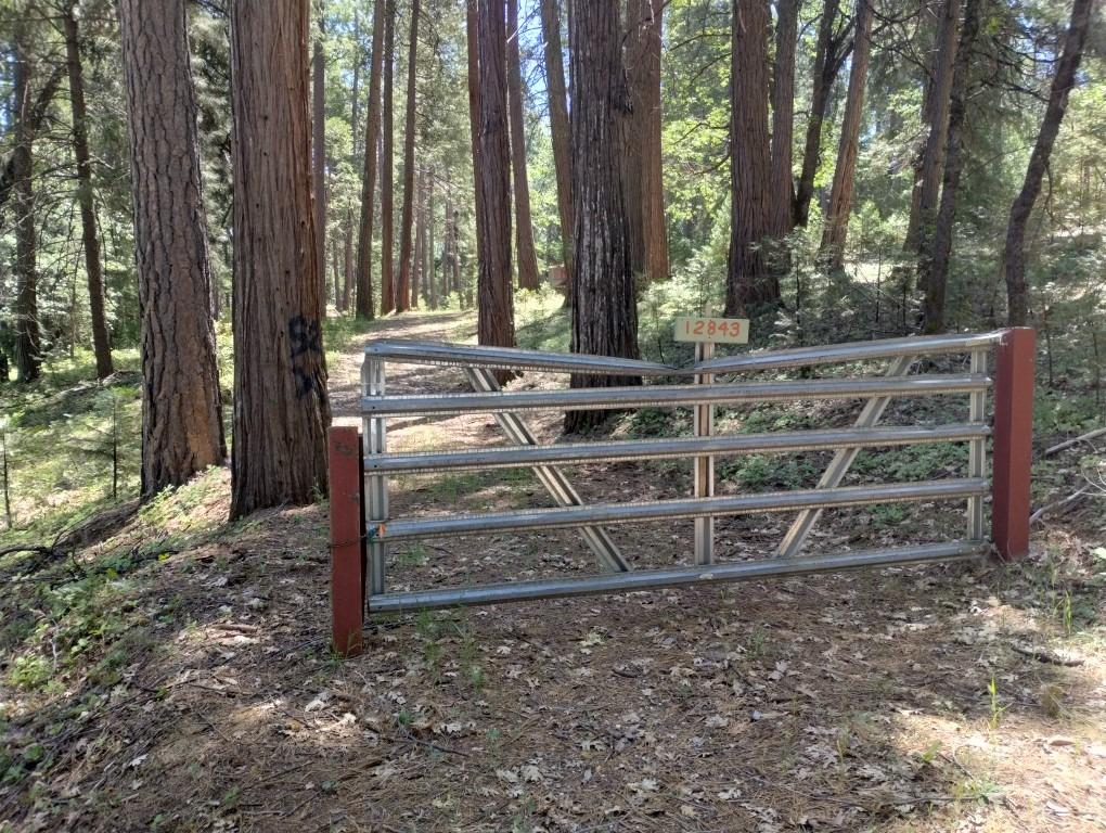 Pearson Road, Grass Valley, California image 2