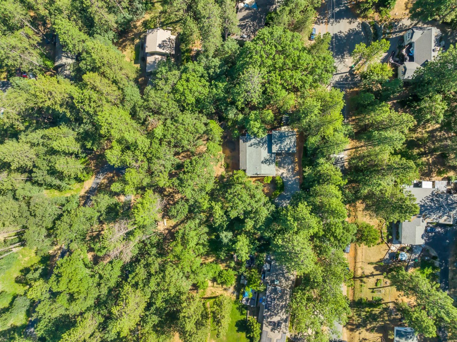 Sky Pines Road, Grass Valley, California image 46