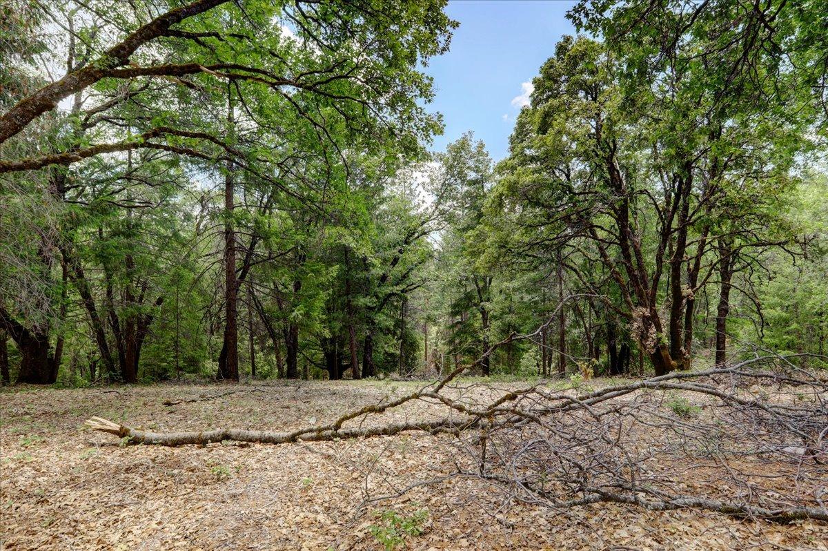 Detail Gallery Image 38 of 68 For 16856 Red Dog Rd, Nevada City,  CA 95959 - – Beds | – Baths