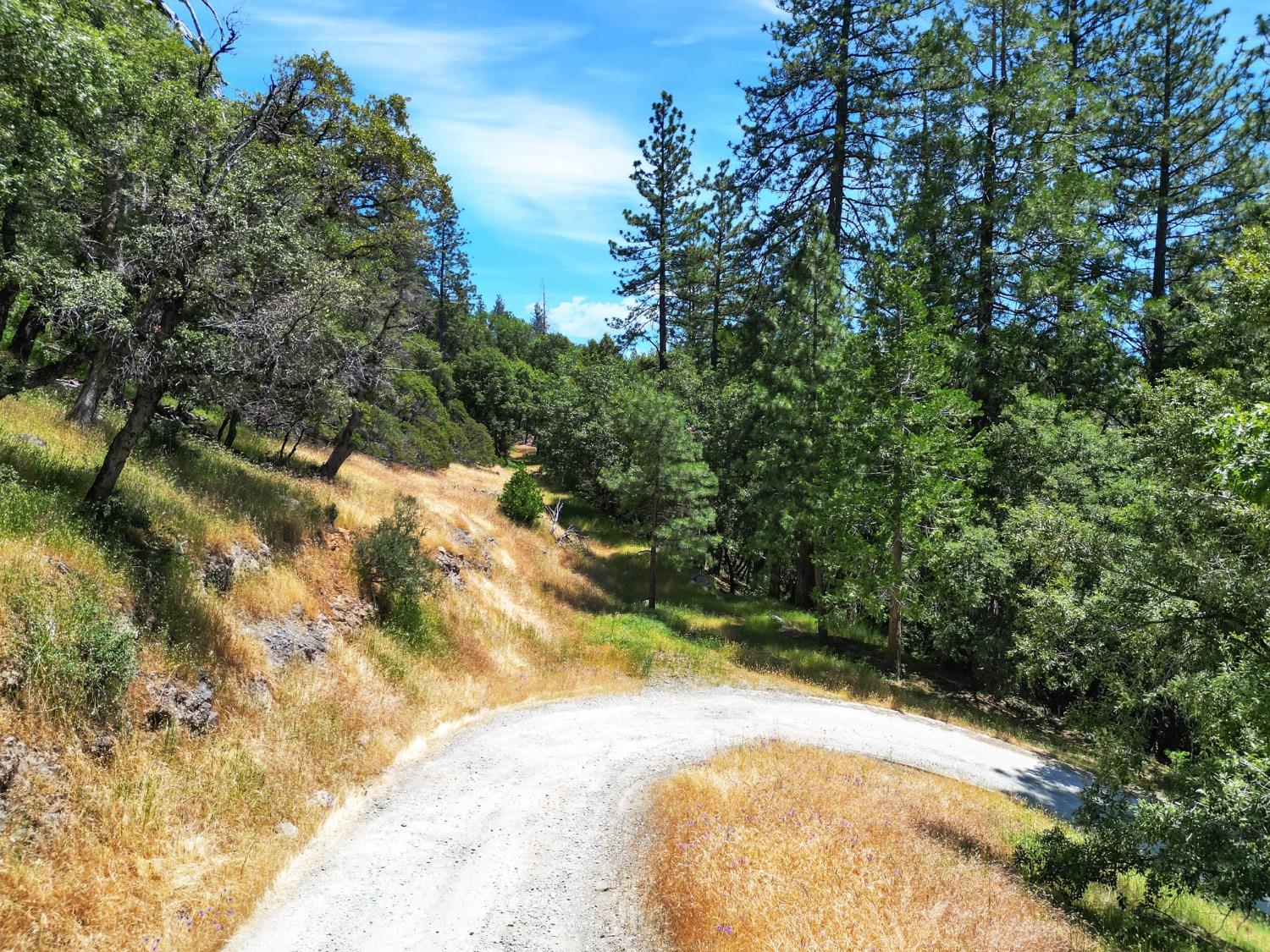 Detail Gallery Image 37 of 47 For 10441 Rim Rock Ln, Nevada City,  CA 95959 - – Beds | – Baths