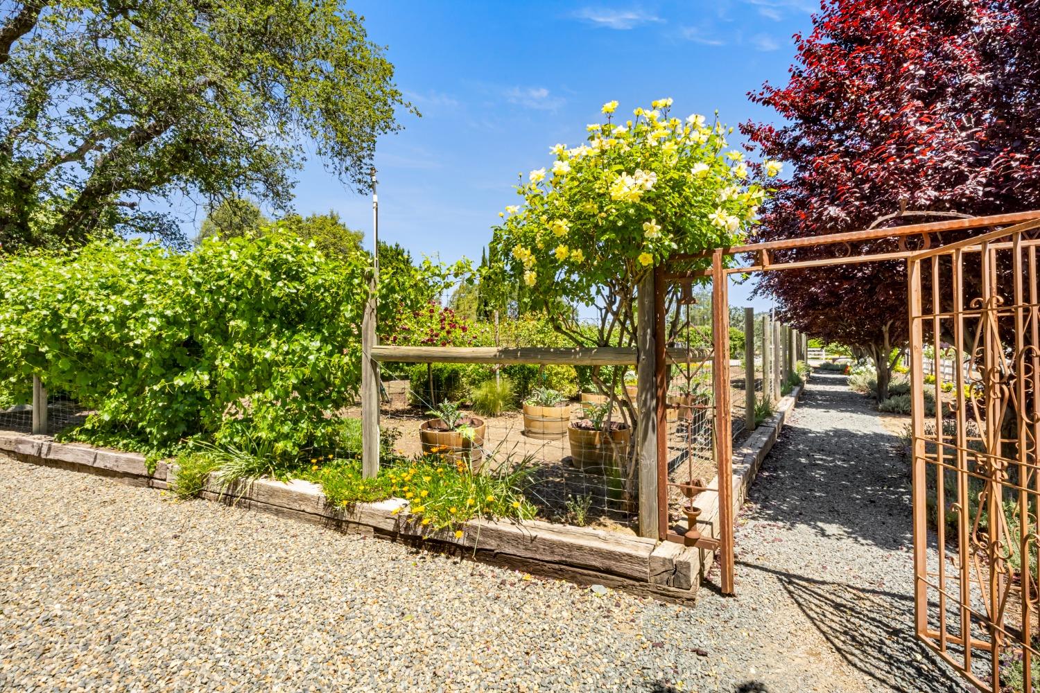 Detail Gallery Image 32 of 99 For 6841 Marysville Rd, Browns Valley,  CA 95918 - 3 Beds | 2 Baths