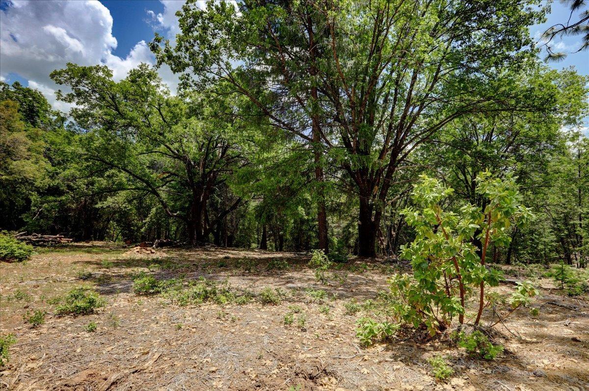 Detail Gallery Image 33 of 68 For 16856 Red Dog Rd, Nevada City,  CA 95959 - – Beds | – Baths