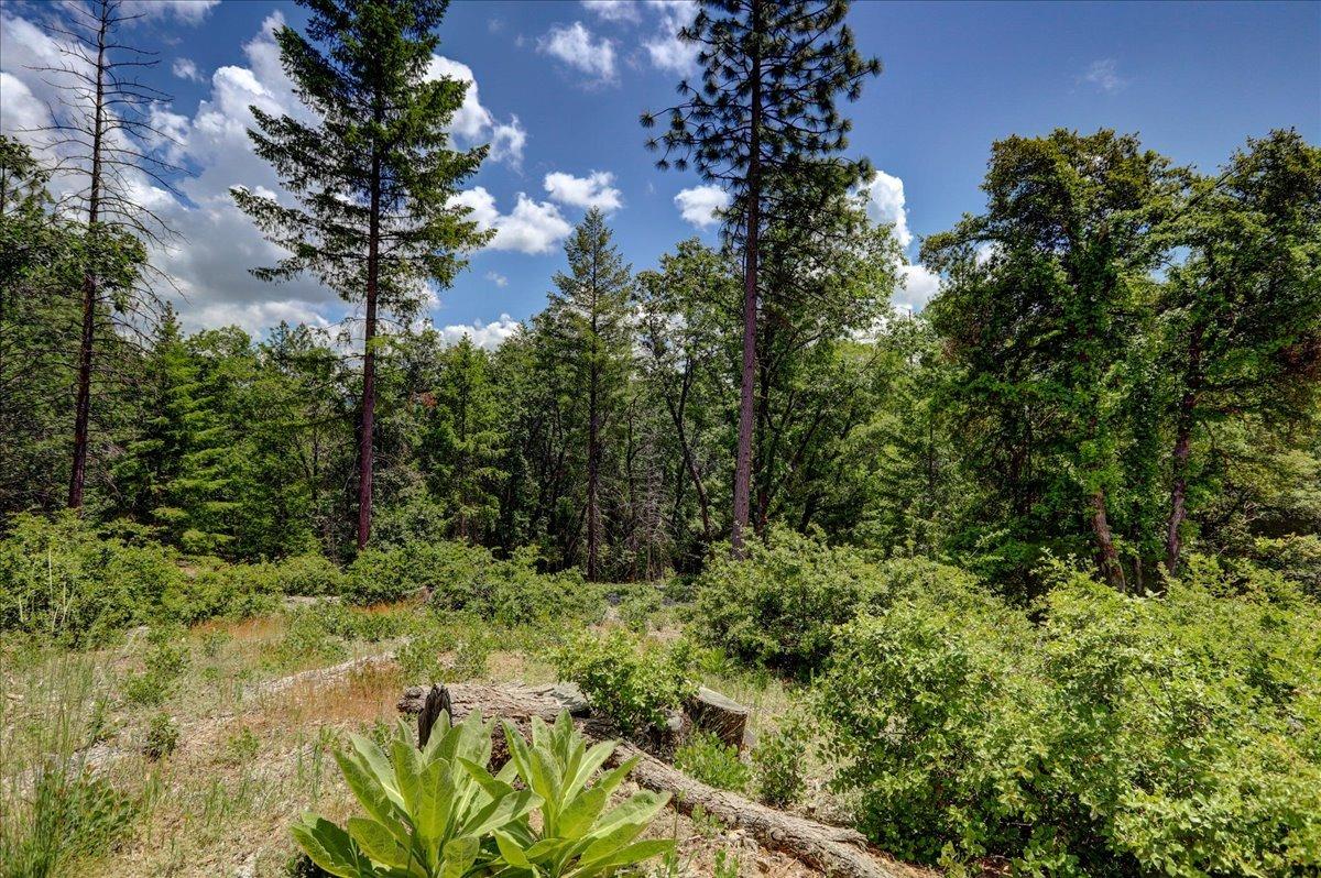 Detail Gallery Image 5 of 68 For 16856 Red Dog Rd, Nevada City,  CA 95959 - – Beds | – Baths