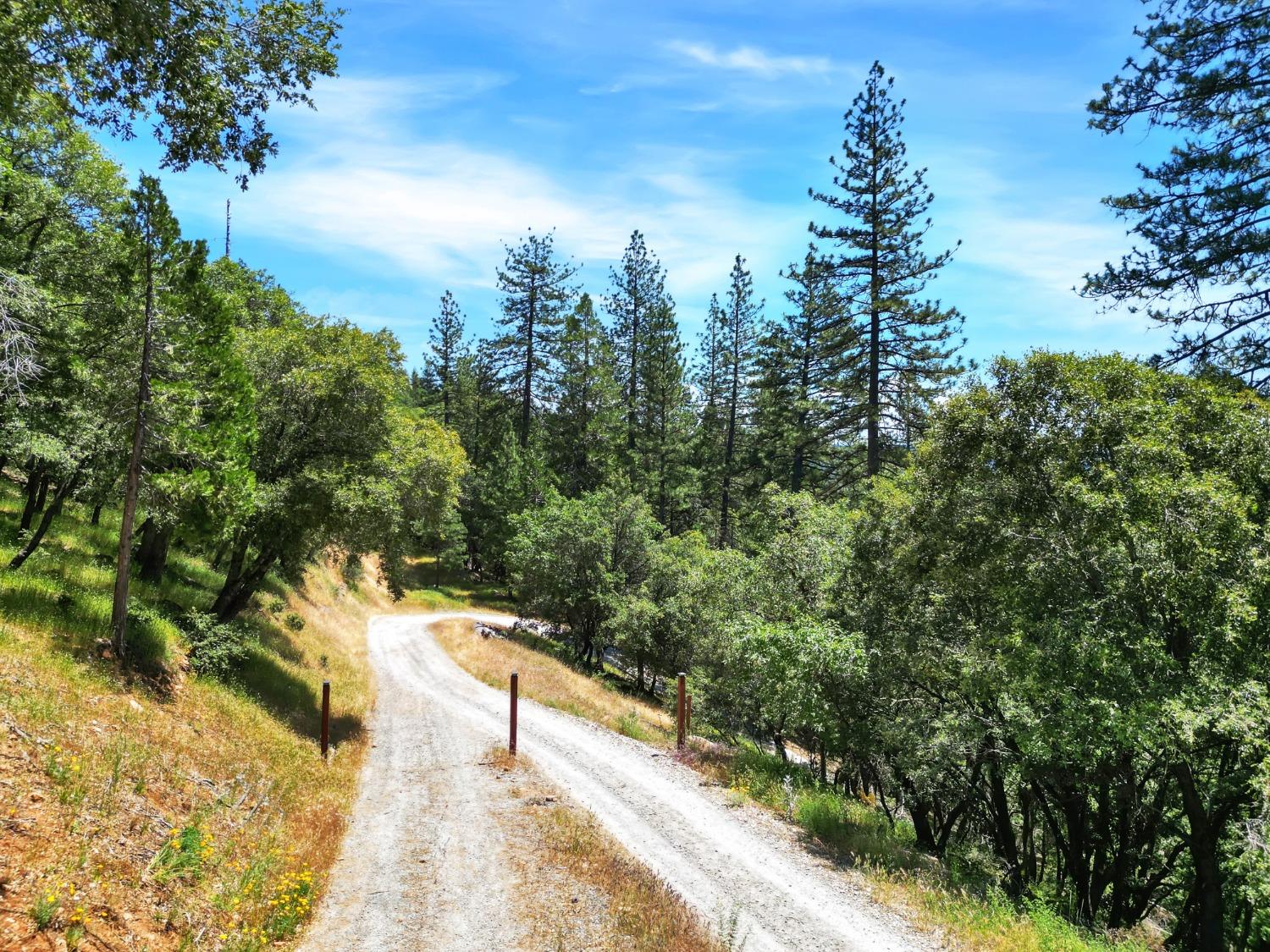 Detail Gallery Image 36 of 47 For 10441 Rim Rock Ln, Nevada City,  CA 95959 - – Beds | – Baths