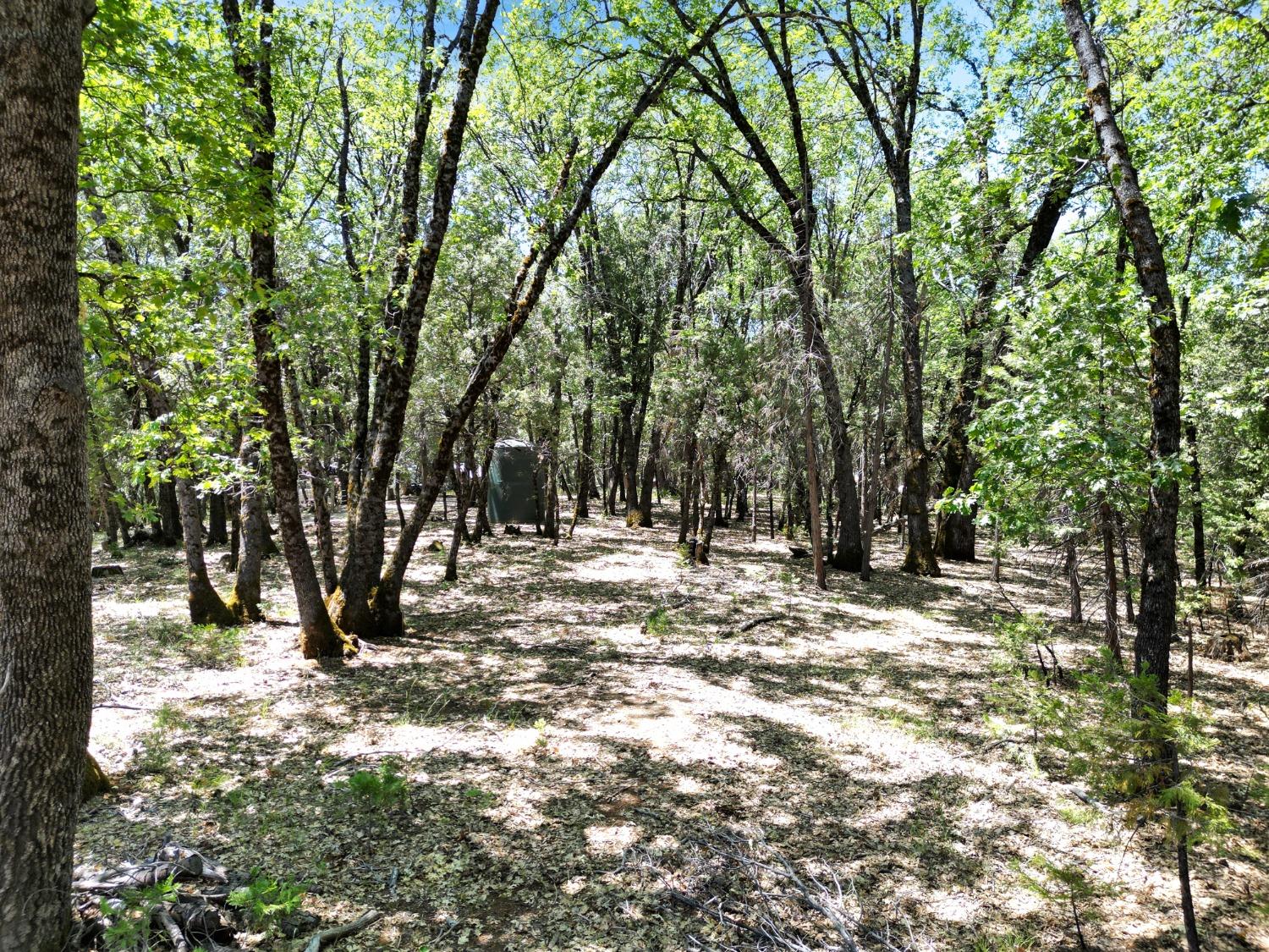 Detail Gallery Image 13 of 47 For 10441 Rim Rock Ln, Nevada City,  CA 95959 - – Beds | – Baths